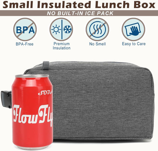 FlowFly Small Insulated Lunch box Portable Soft Bag Mini Cooler Thermal Meal Tote Kit with Buckle for Work, GreyWithBuckle