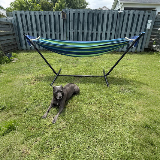 SZHLUX Double Hammock with Stand Included 450lb Capacity Steel Stand, Premium Carry Bag Included.Indoor Outdoor Brazilian-Style Cotton Bed for Backyard, Camping,Garden,Green