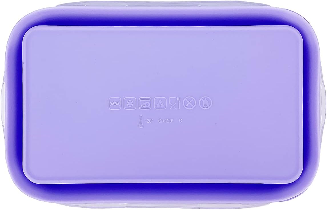 Purple Collapsible Sandwich Container, Silicone Lunch Container Bento Box with Plastic Lid, Microwave Safe, Camping Bowl For Meal Prep, Travel and Hiking, 40oz/1200ML