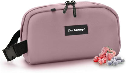 Small Cooler Bag Freezable Lunch Bag for Work School Travel,Leak-proof Small Lunch Bag,Small Insulated Bag For Kids/Adults,Freezer Lunch Bags,Freezable Snack Bag,Mini Lunch Bag 9.8x5.5x4 inches