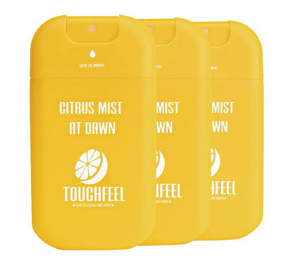 Power Mist Hand Sanitizer Spray, Scented Hydrating Hand Sanitizers Travel Size Refillable, Pocket Portable 3-Pack (Citrus mist at dawn) 0.93Fl Oz 460-Sprays Each