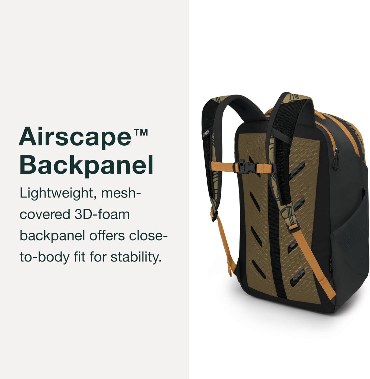 Osprey Proxima 30L Campus Laptop Backpack - Organized Everyday Pack with Dedicated Tech Storage, Water Bottle Pockets, and Comfortable Carry - Perfect for School, Commutie, and Travel, Black/Coal Grey