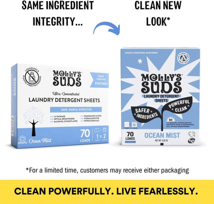 Molly’s Suds Laundry Detergent Sheets | Gentle on Sensitive Skin, Powerful Bio-Based Enzymes, Stain-Fighting | Liquidless & Plastic-Free Packaging | 120 Loads (Ocean Mist)