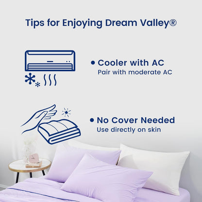 Dream Valley® Outlast® Deepsleep Cooling Comforter, Full/Queen Size, NASA-Grade Space Technology Cooling Blanket for Hot Sleepers Night Sweats, Q-Max > 0.45 Aerocool™ Breathable, Lavender Fog, 90"x90"