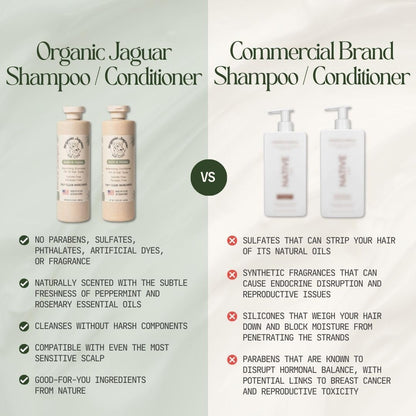 Natural Shampoo for Hair Care, Sulfate Free Shampoo with Castor Oil, Honeysuckle, Glycerin, Aloe Vera & Mild Thickening Agent, Dry to Color Treated to All Hair, 13.5 fl oz