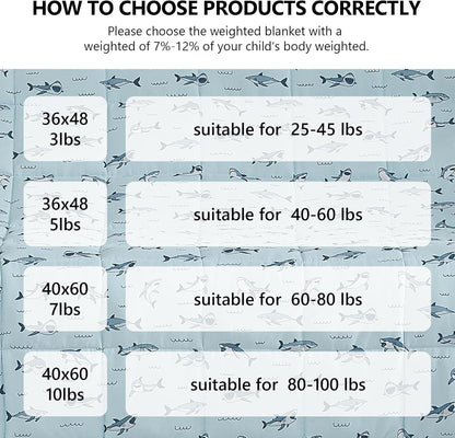 L'AGRATY Weighted Blanket - 40"x60" 10lbs Breathable Weighted Blanket Microfiber Material with Glass Beads