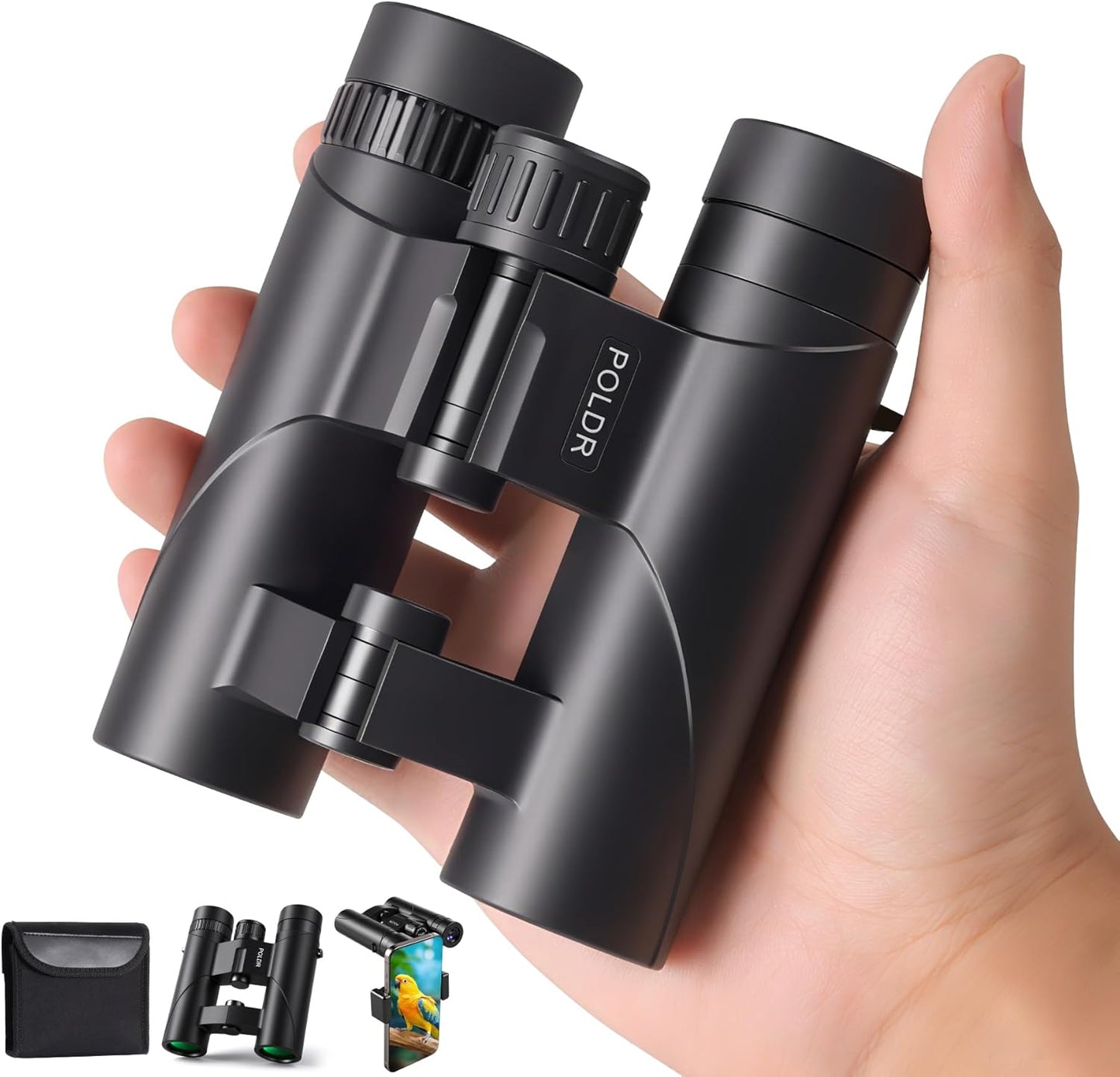 POLDR 12x25 Compact Binoculars for Adults and Kids, High Powered Waterproof Binocular with Phone Adapter, Small Easy Focus HD Binoculars for Bird Watching, Concerts, Hiking, Travel, Cruise