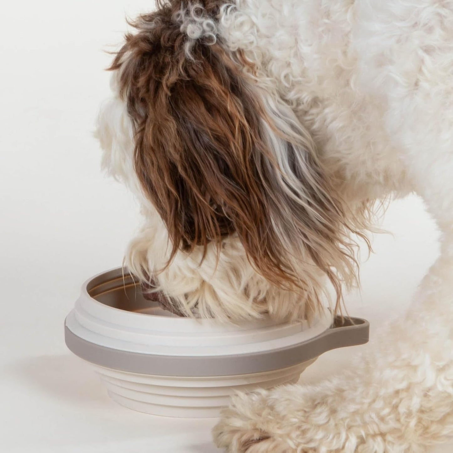 Nomad Large Collapsible Dog Bowl - 4 Cup Food-Safe Silicone Travel Bowl for Dogs, Portable & Sturdy, Food/Water, Dishwasher Safe - Sand