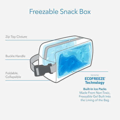 PackIt Freezable Snack Box, Lavender, Built with ECOFREEZE Technology, Collapsible, Reusable, Zip Closure with Buckle Handle, Designed For Work Snacks, Fresh Snacks On the Go, Adults, and All Ages