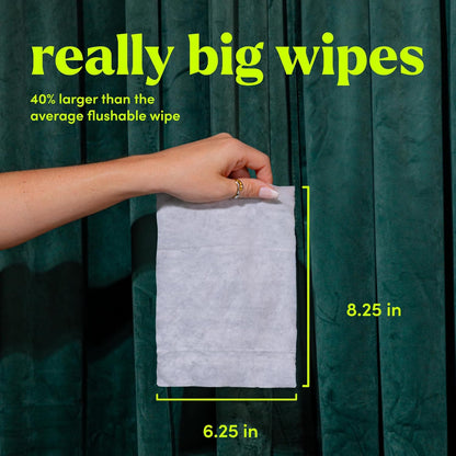 goodwipes Flushable Butt Wipes - Vitamin E & Aloe - Sewer & Septic Safe - Extra Large Adult Wet Wipes For Women & Men - Bathroom Essentials - Shea-Coco, 318 Count (6 Packs + 1 Travel)