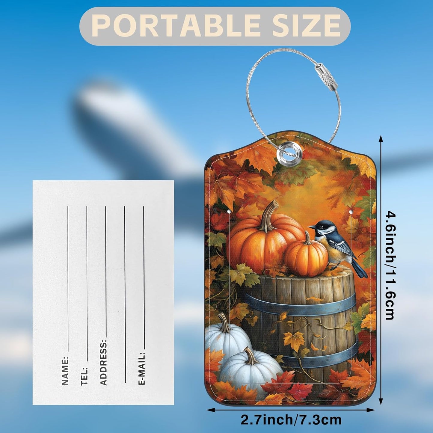 Autumn Pumpkin and Bird Set of 2 Luggage Tags for Suitcases Fallen Leaves Leather Suitcase Tags Identifiers with Privacy Name Label and Stainless Steel Loop for Women Men Travel Luggage Accessories