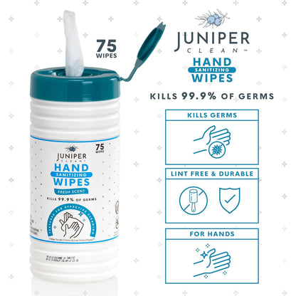 4 Pack Hand Sanitizing Wipes, Alcohol Free 300 Count Canister Disposable Hand Sanitizer Wipes, Fresh Scent, Lint Free & Durable