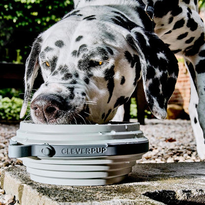 Nomad Large Collapsible Dog Bowl - 4 Cup Food-Safe Silicone Travel Bowl for Dogs, Portable & Sturdy, Food/Water, Dishwasher Safe - Grey