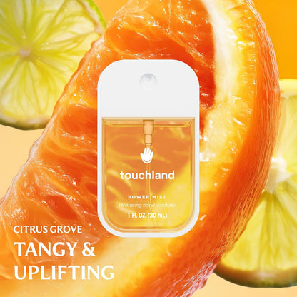 Touchland Power Mist Hydrating Hand Sanitizer Spray, TOP 5 Set (Applelicious, Sandalwood, Lavender, Berry, Citrus), 1 FL. OZ. Travel Size (Set of 5)