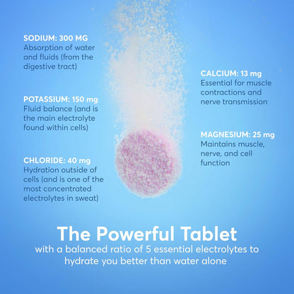 Nuun Sport Electrolyte Tablets with Magnesium, Calcium, Potassium, Chloride & Sodium, Gluten Free & Vegan, Watermelon, 8 Pack (80 Servings Total)